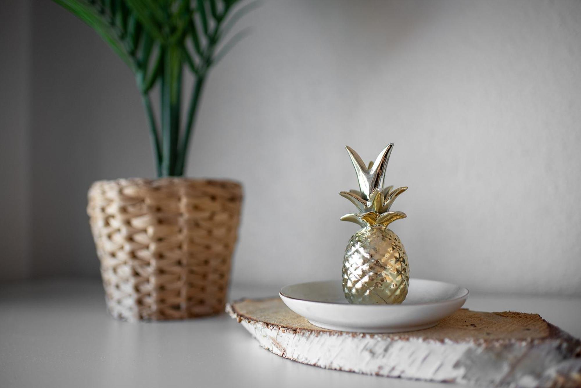 Apartamento Cosy T2, Terrasse Privee Et Parking Toulouse Exterior foto